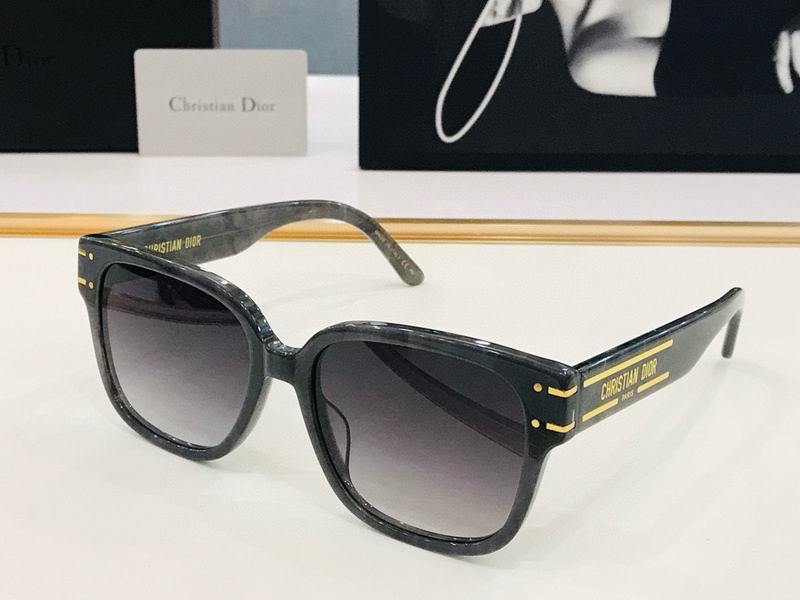 DIOR Sunglasses 417